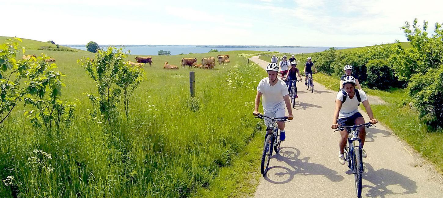 Aktiv ferie | Outdoor | Udendørs aktiviteter | Odsherred | Sjælland | Danmark