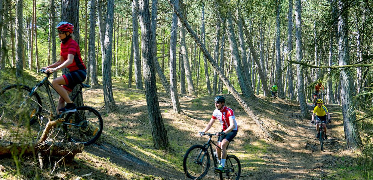 Geopark MTB Grand Prix | 2022 | Mountainbike-løb i Odsherred | Sjælland | Danmark