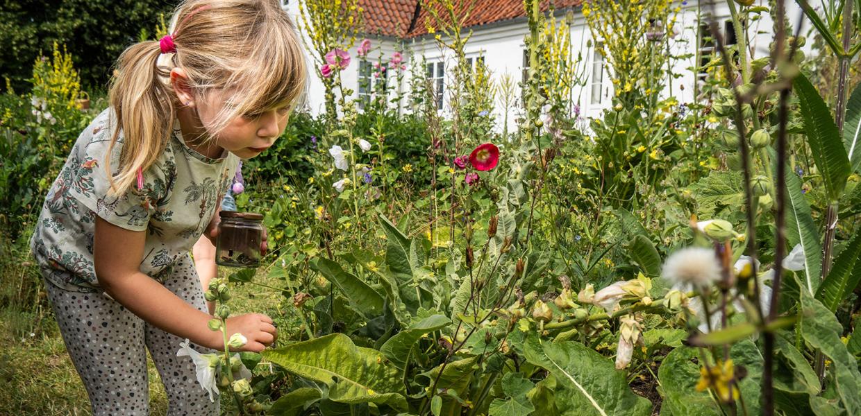 Malergården | Sigurd Swane | Swanernes kunstnerhjem | Agnete Swane | Gerda Swane | Henrik Swane | Familien Swane | Plejerup | Odsherred