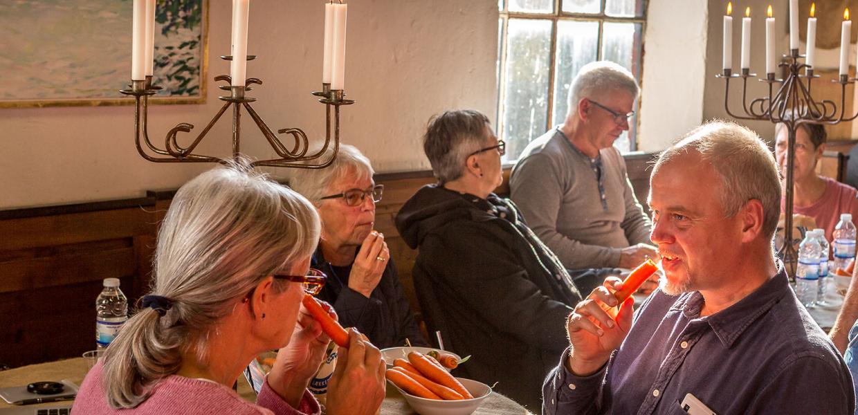 Lammefjordens Grand Cru-kåring | 2024 | Efterårsferie | Uge 42 | Sjælland | Danmark