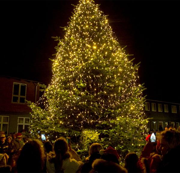 Juletræet tændes | Juletræstændinger | Odsherred | Sjælland | Danmark